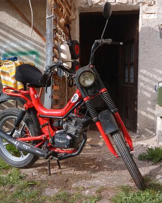 Malaguti Fity HF 1980