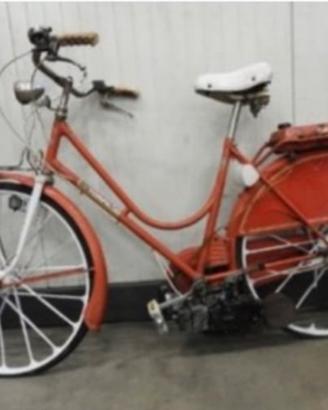 Bici Garelli Motore Mosquito