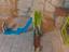 Immagine 5