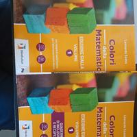 libro matematica COLORI DELLA MATEMATICA 1