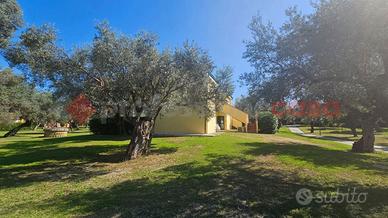 Appartamento Sant'Andrea Apostolo dello Ionio