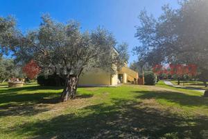 Appartamento Sant'Andrea Apostolo dello Ionio