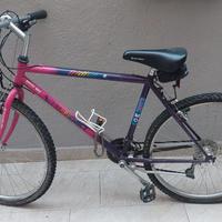 MTB Vintage Rudy Project Iridium - Telaio Cr-Mo -