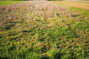 Terreno agricolo
