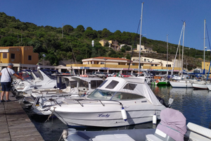 Sessa islamorada 21 + Yamaha 200 4t + carrello omo