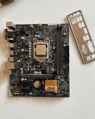 Scheda Madre Asus H110m-a/m.2 + CPU Intel G4400