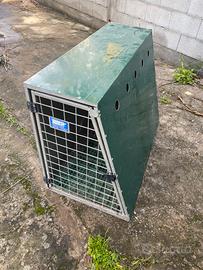 Cucce/trasportino per cani