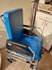 sedia a rotelle 
