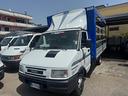 iveco-daily-35-12-cassone-centinato
