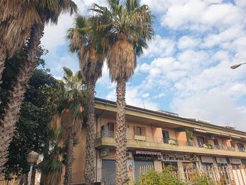 Appartamento 2 livelli + p.auto v.le della regione