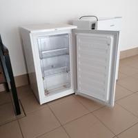 congelatore entro 23 marzo