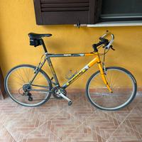 Mountain Bike Bianchi