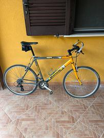 Mountain Bike Bianchi