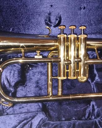 Flicorno soprano