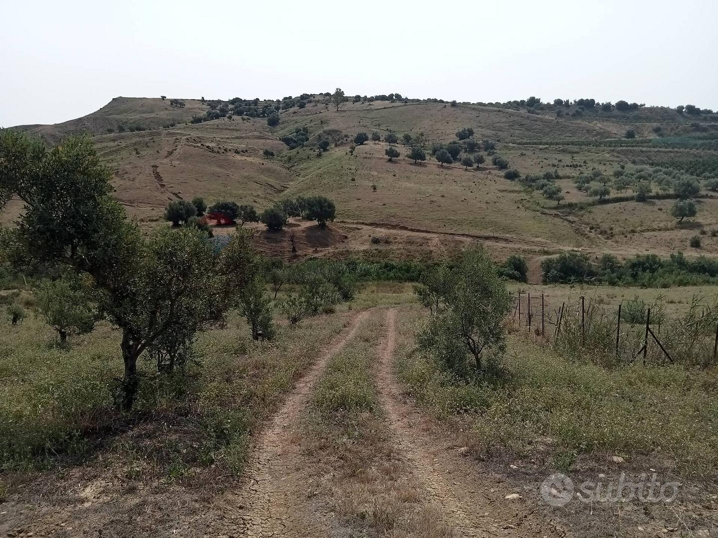 Terreno - Motta Sant'Anastasia - Vista 3