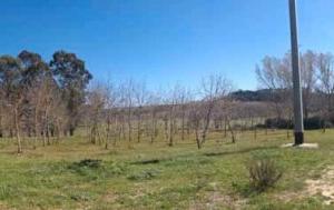 RGE 78/2017 Trib ENNA - LOTTO 9