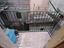 Immagine 23