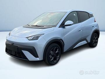 BYD Dolphin Surf Comfort