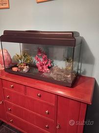 acquario 80lt.
