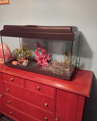 acquario 80lt.