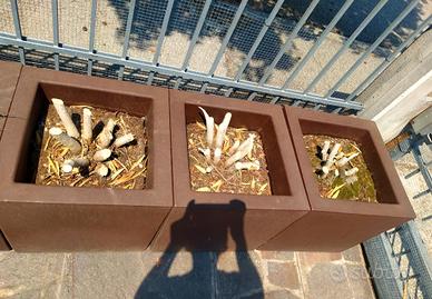 vasi da giardino 