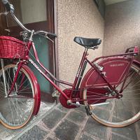 Bicicletta Olandese