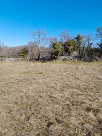 TERRENO zona carsica