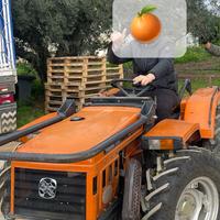 Trattore Antonio Carraro 28CV