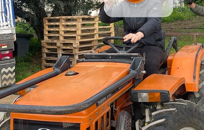 Trattore Antonio Carraro 28CV