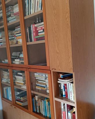600 libri di vari generi con mobile