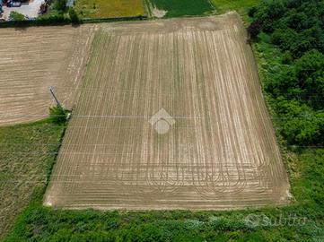 TER. AGRICOLO A TREZZANO ROSA