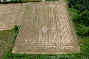 TER. AGRICOLO A TREZZANO ROSA