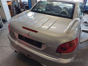 Portellone nudo PEUGEOT 206 del 2005