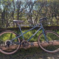 Bianchi ragno ruote da 26.