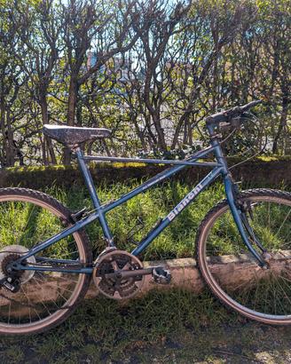 Bianchi ragno ruote da 26.