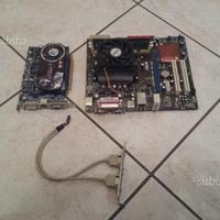 Scheda Madre Completa Asus