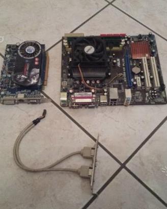 Scheda Madre Completa Asus