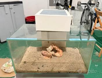 Acquario 30 litri  Completo di tutto