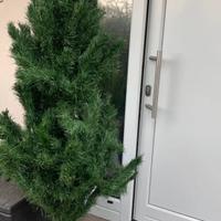 Albero di natale