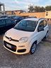 fiat-panda-natural-power-anno-2014-tagliandata