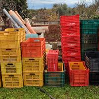 cassette agricola impilabili 