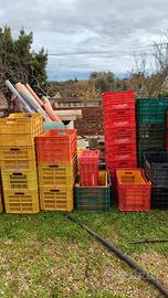 cassette agricola impilabili 