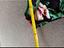 Immagine 5
