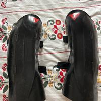 Parastichi sci Dainese