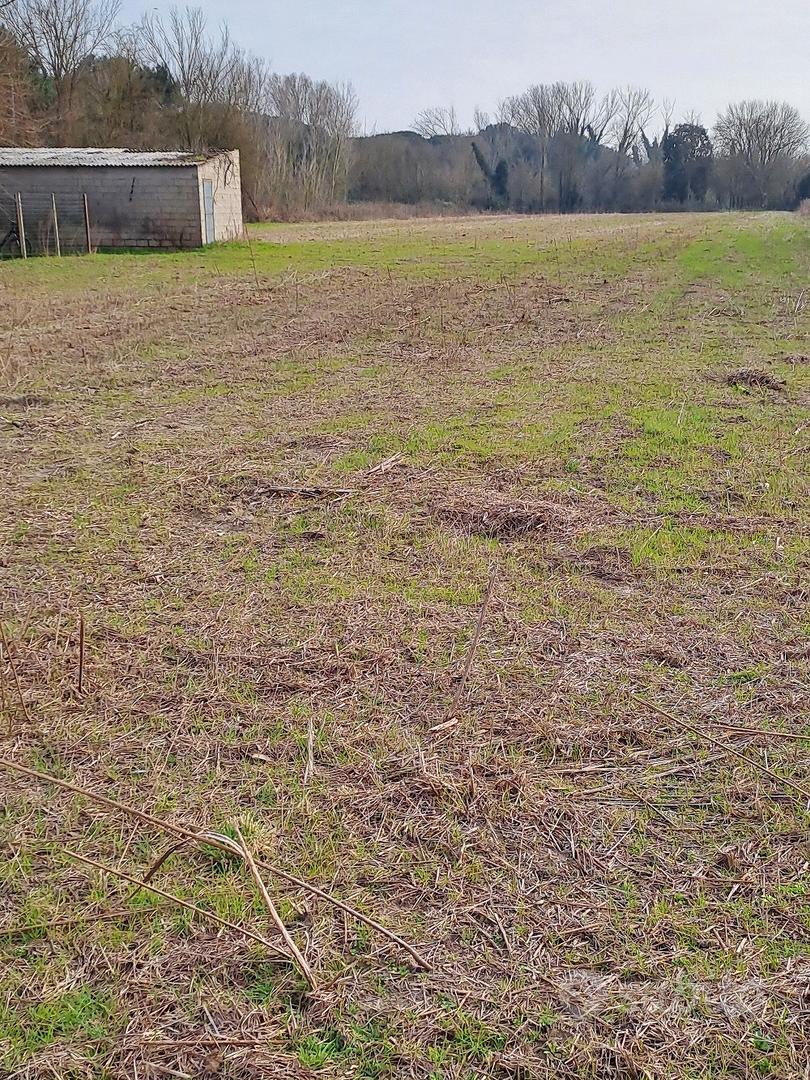 terreno agricolo a Portoviro di 13000 mq - Vista 4