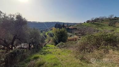 Terreno 1500 mq torre dei tucci 9000