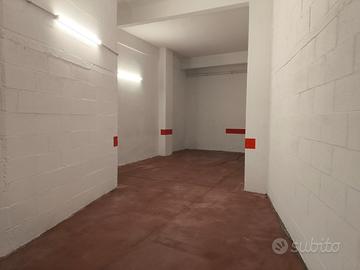 Box Zona Cipro