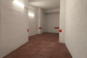 Box Zona Cipro