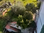Immagine 11