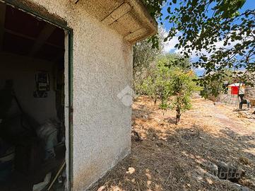 TER. AGRICOLO A BAGHERIA